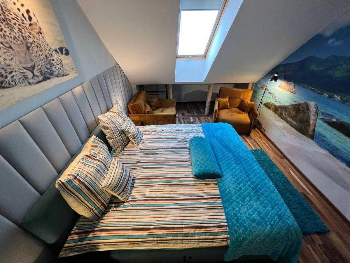 Apartment Comfort Zone Ostroda Duo *